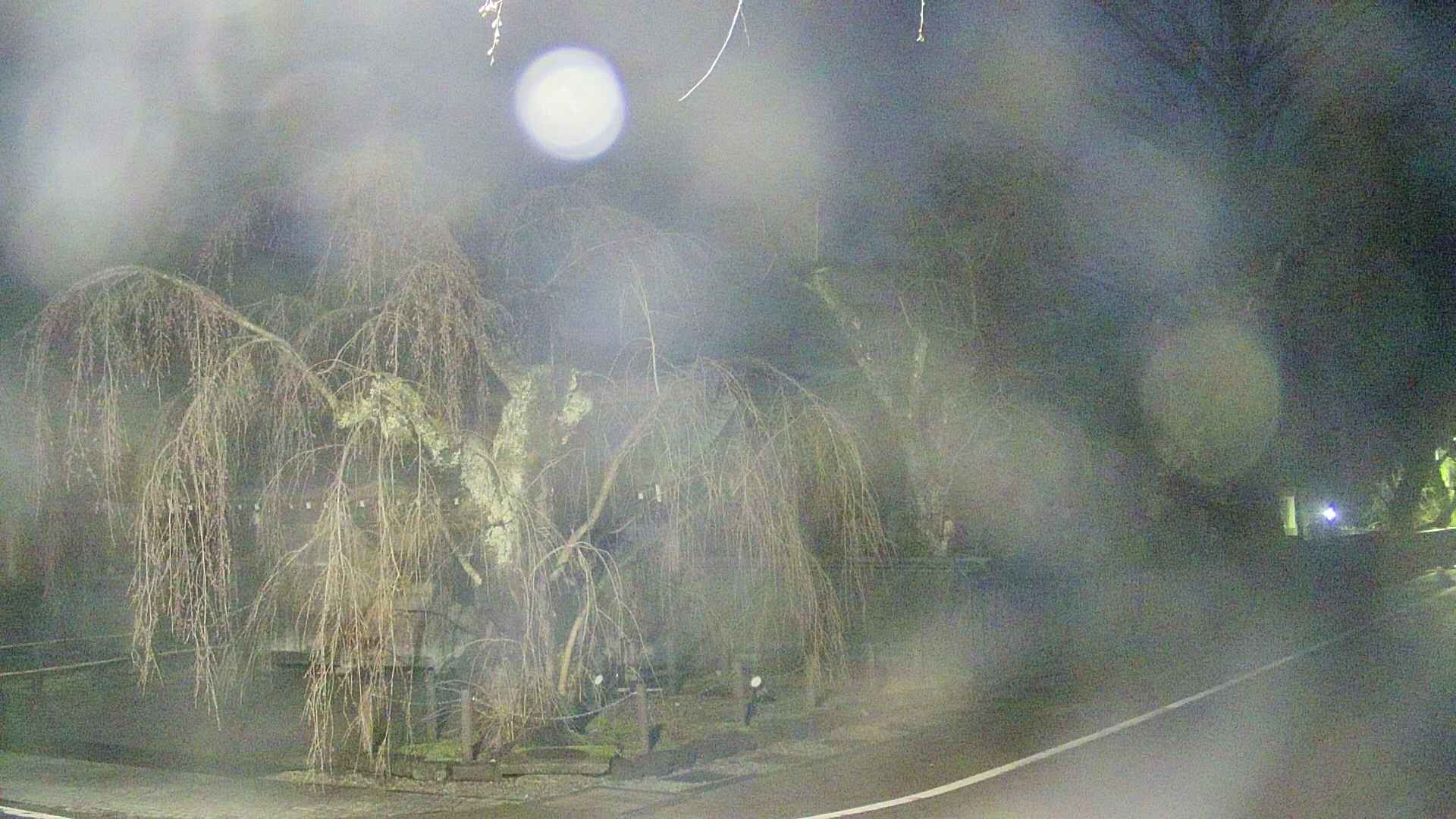 area4-20250419041040.jpg