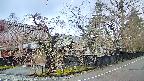 area4-20250419061040.jpg