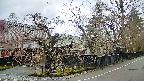 area4-20250419071041.jpg