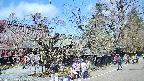 area4-20250419110040.jpg