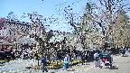 area4-20250419125042.jpg