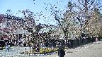 area4-20250419134043.jpg