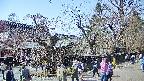 area4-20250419140041.jpg