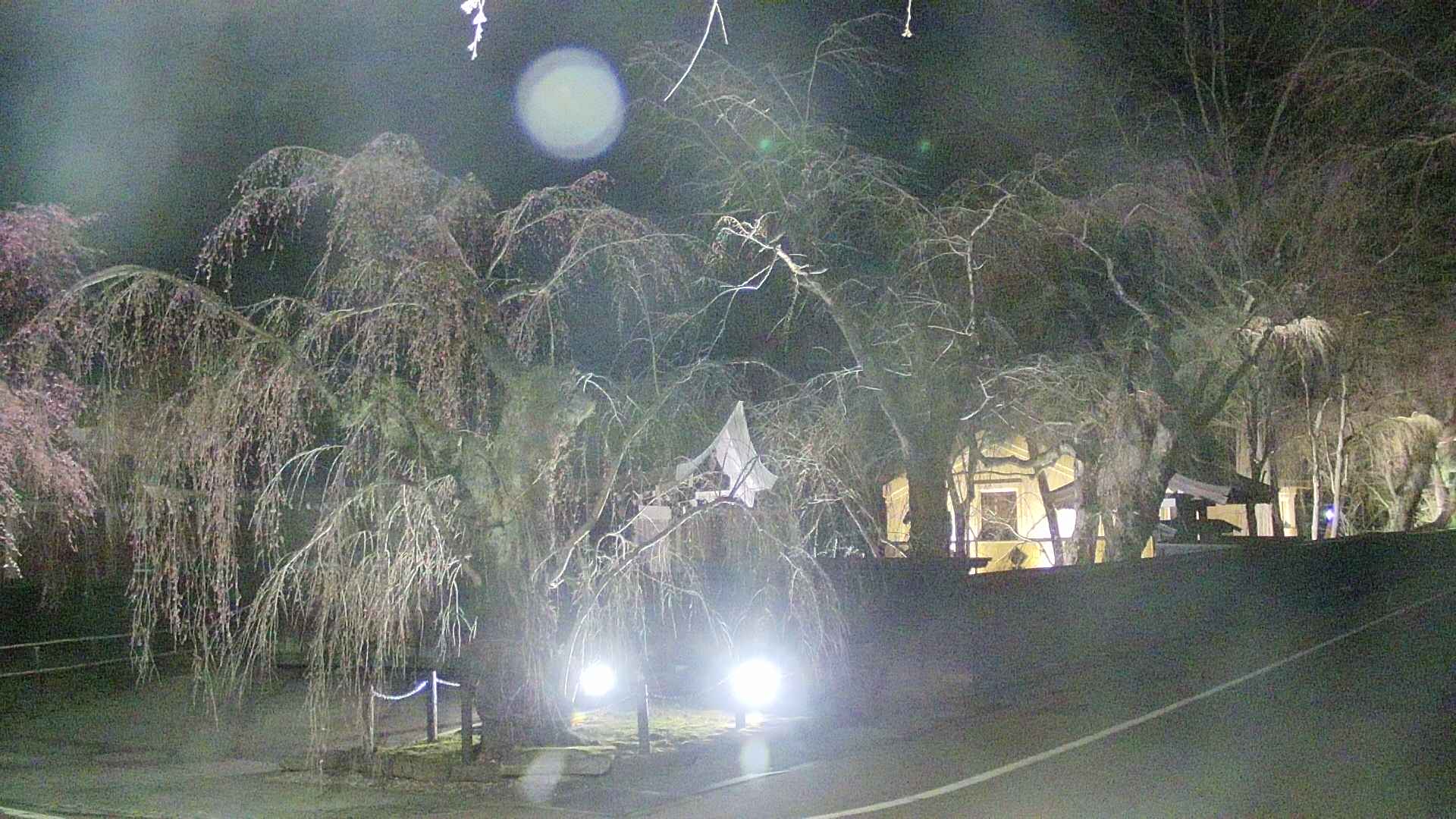 area4-20250419215040.jpg