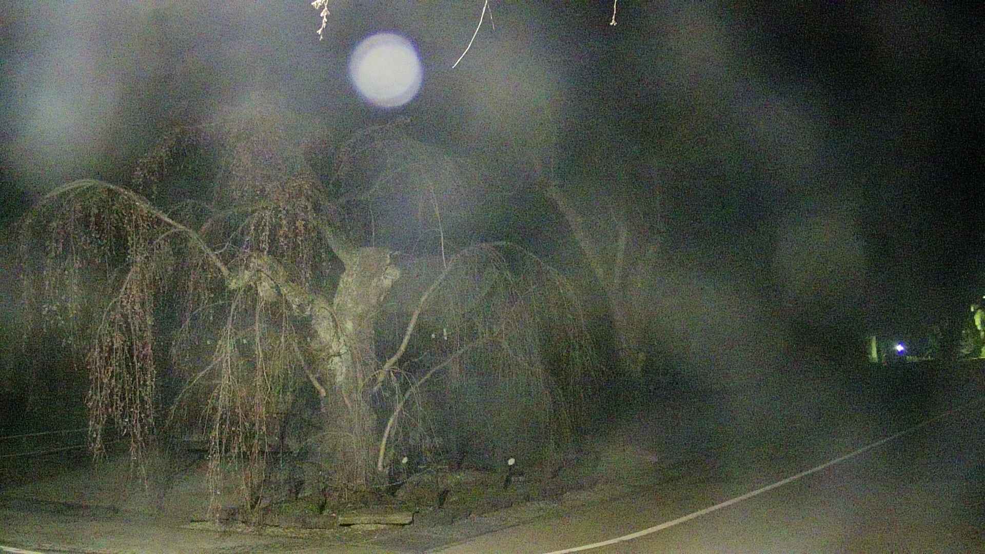 area4-20250420035040.jpg