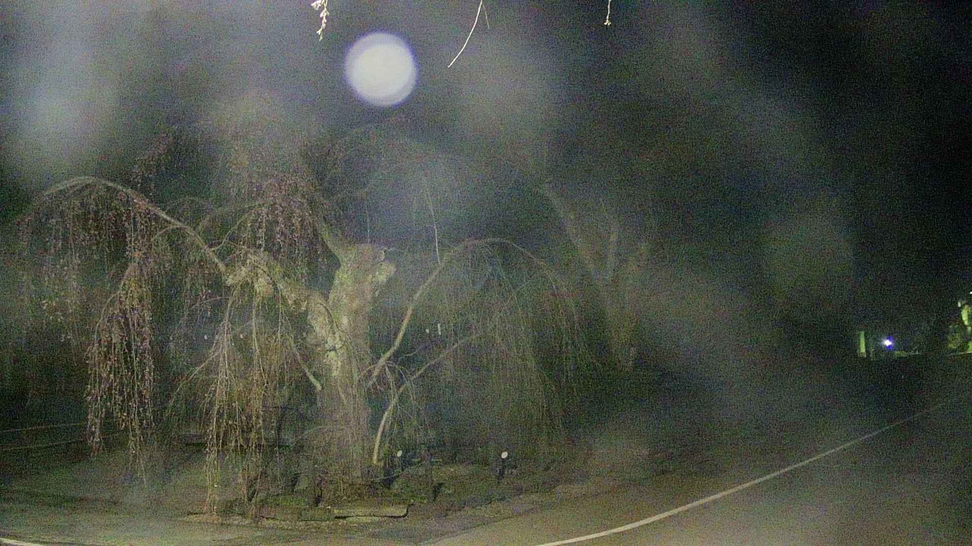 area4-20250420041042.jpg