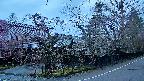 area4-20250420051041.jpg
