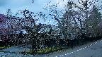 area4-20250420052039.jpg