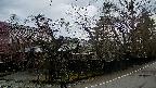 area4-20250420054040.jpg