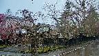area4-20250420061040.jpg