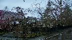 area4-20250420062041.jpg