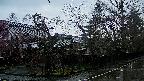 area4-20250420063042.jpg