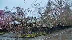 area4-20250420064041.jpg
