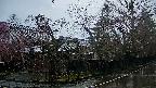 area4-20250420065041.jpg