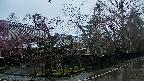 area4-20250420073041.jpg