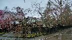 area4-20250420080041.jpg