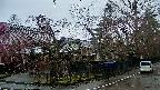 area4-20250420081041.jpg
