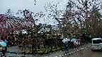area4-20250420082041.jpg