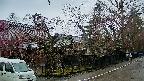 area4-20250420083041.jpg
