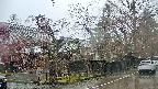 area4-20250420085041.jpg