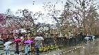 area4-20250420091040.jpg