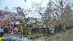 area4-20250420093041.jpg