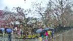 area4-20250420101039.jpg