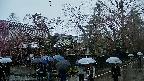 area4-20250420102041.jpg