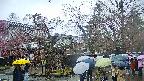 area4-20250420103040.jpg