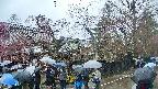 area4-20250420105040.jpg