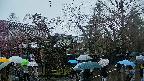area4-20250420111039.jpg