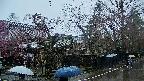 area4-20250420112041.jpg