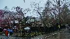 area4-20250420113039.jpg