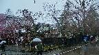 area4-20250420115041.jpg