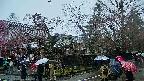 area4-20250420120042.jpg