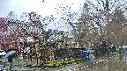 area4-20250420123042.jpg