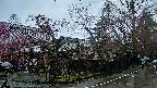 area4-20250420124041.jpg