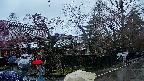 area4-20250420125041.jpg