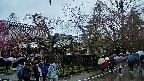 area4-20250420130041.jpg