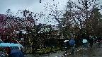 area4-20250420131042.jpg