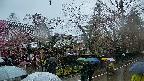 area4-20250420133041.jpg