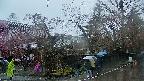 area4-20250420134041.jpg