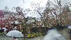 area4-20250420140039.jpg