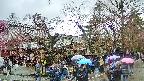 area4-20250420143040.jpg