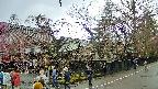 area4-20250420155042.jpg