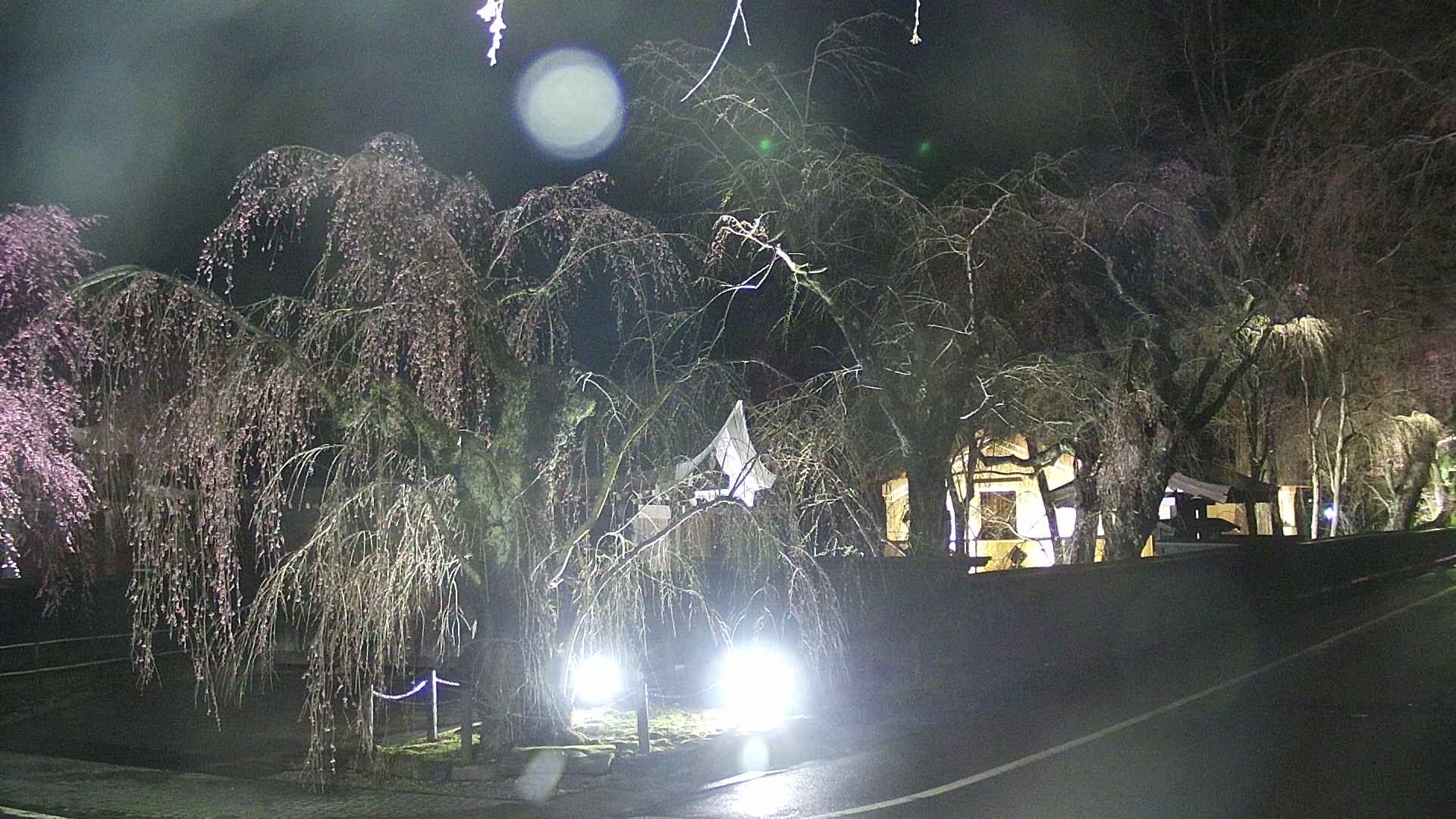 area4-20250420211041.jpg