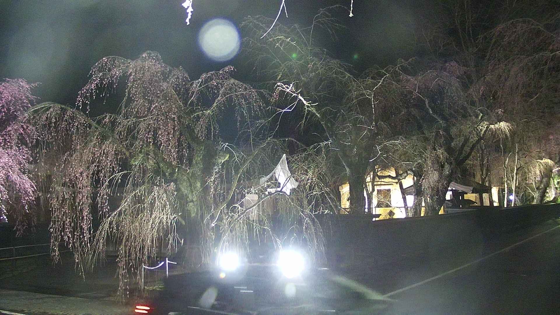 area4-20250420215042.jpg