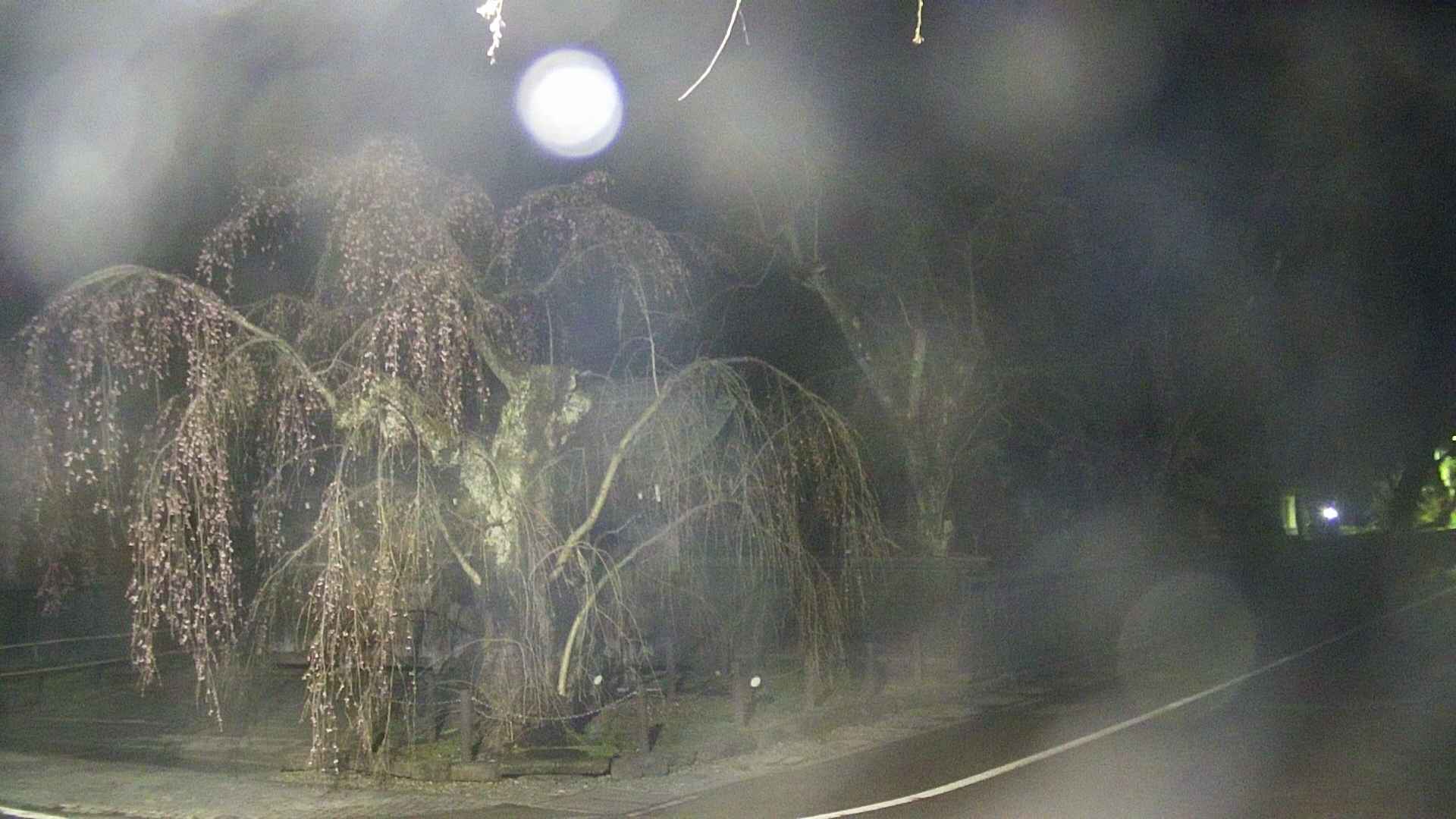 area4-20250421021042.jpg
