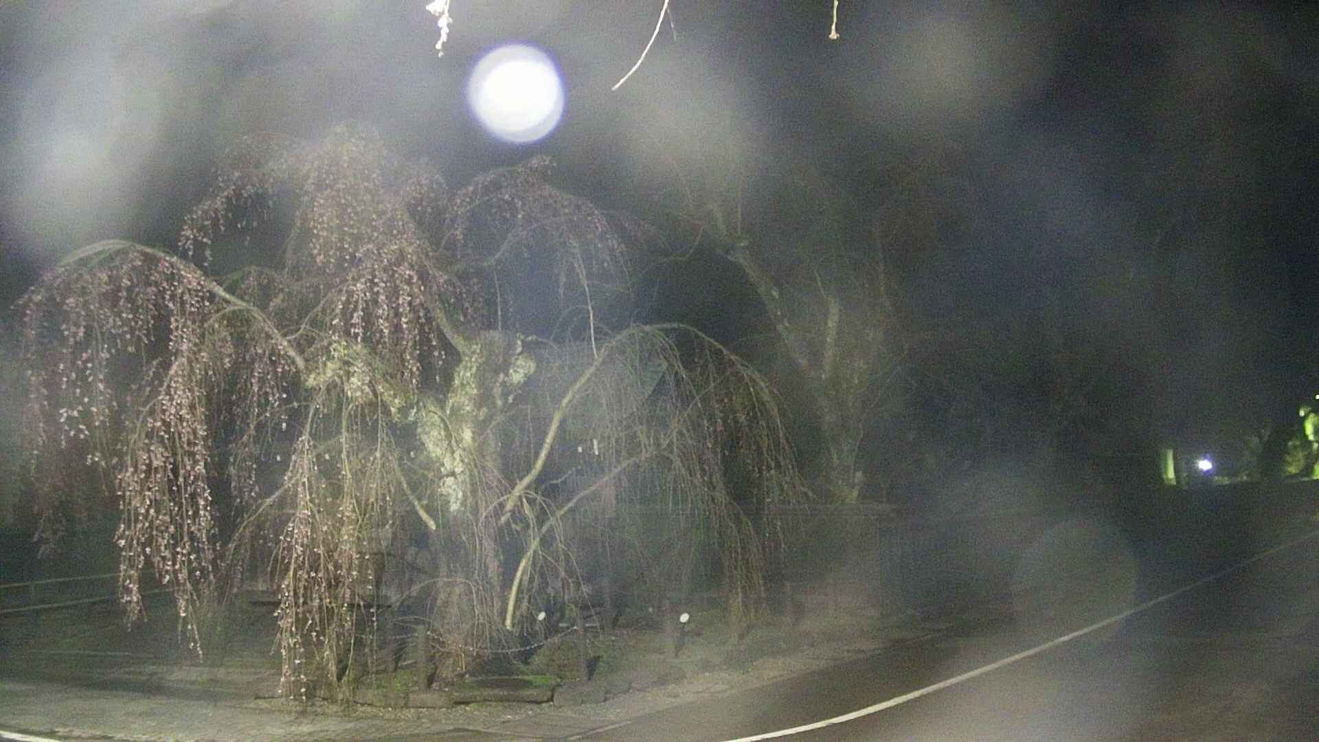 area4-20250421025041.jpg
