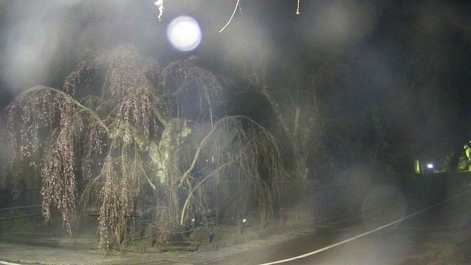 area4-20250421032041.jpg